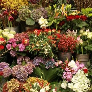 Florists choice (£35 Minimum)